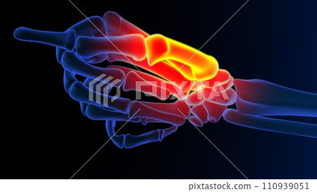 Thumb metacarpal bone pain anatomy for medical concept 3D rendering Thumb metacarpal bone pain anatomy for medical concept 3D rendering 110939051