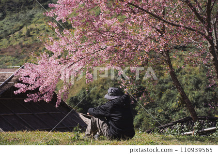 travel and work concept with solo freelancer man sit under cherry blossom tree and relax with layer of mountain background 110939565