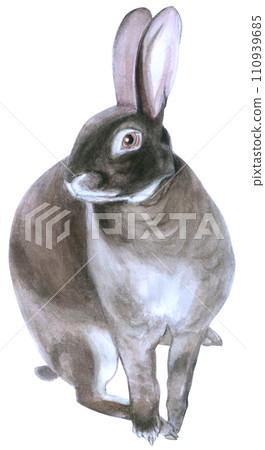 Rabbit Easter animal with flower watercolor 110939685