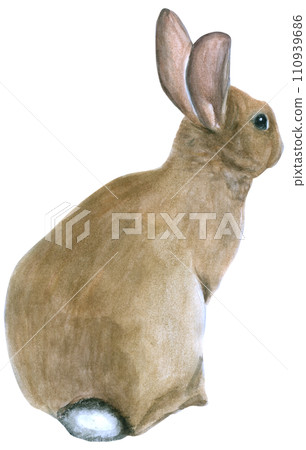 Rabbit Easter animal with flower watercolor 110939686