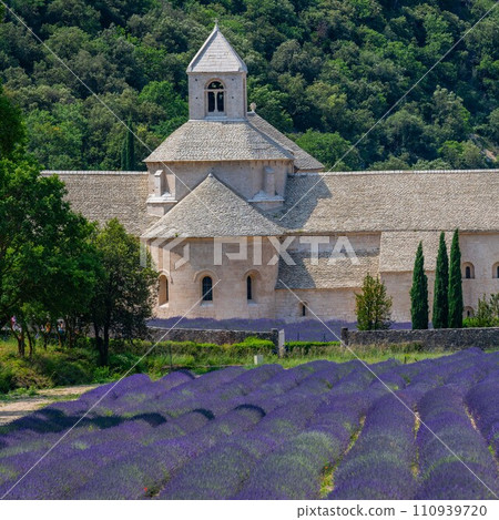 Senanque Abbey Gordes Provence Lavender fields Notre-Dame de Senanque Senanque Abbey Gordes Provence Lavender fields Notre-Dame de Senanque 110939720
