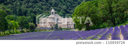 Senanque Abbey Gordes Provence Lavender fields Notre-Dame de Senanque Senanque Abbey Gordes Provence Lavender fields Notre-Dame de Senanque 110939726