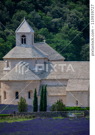Senanque Abbey Gordes Provence Lavender fields Notre-Dame de Senanque Senanque Abbey Gordes Provence Lavender fields Notre-Dame de Senanque 110939727