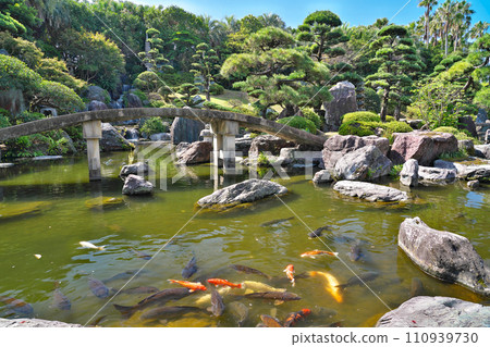 [Amami Village] Minami Sakae, Kagoshima City, Kagoshima Prefecture 110939730