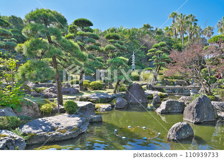 [奄美村] 鹿兒島縣鹿兒島市南榮 110939733