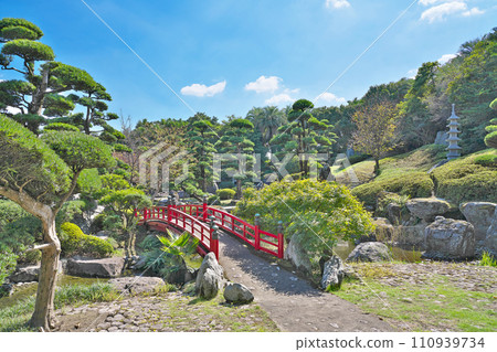 [Amami Village] Minami Sakae, Kagoshima City, Kagoshima Prefecture 110939734