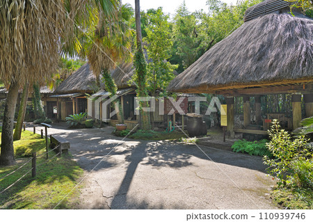 [Amami Village] Minami Sakae, Kagoshima City, Kagoshima Prefecture 110939746