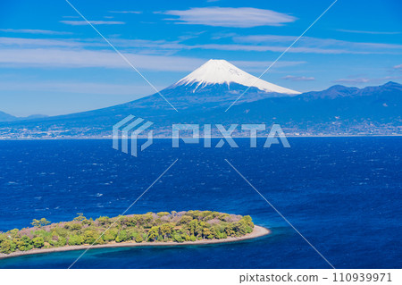（靜岡縣）在Oceanazaki（大瀨崎）的富士山 110939971