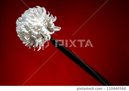 Old rusty rasp file and chrysanthemum on a red background. 110940568