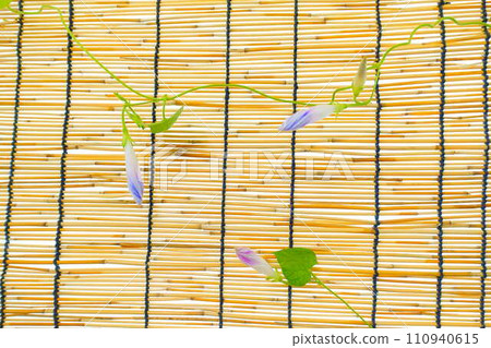 牽牛花 牽牛花 芽 110940615