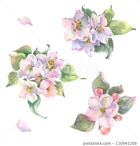 Watercolor apple tree branch and flowers, blooming tree on white background, isolated watercolor illustration. It's perfect for wedding cards and invitations, mothers day and valentines card Watercolor apple tree branch and flowers, blooming tree on white background, isolated watercolor illustration. It's perfect for wedding cards and invitations, mothers day and valentines card 110941208