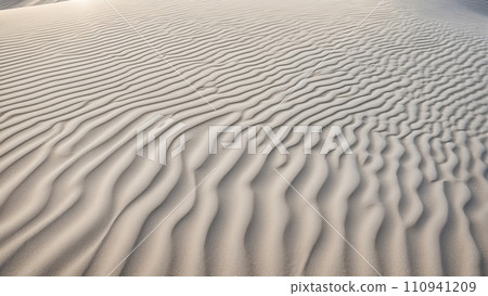 風沙戲的沙丘 110941209