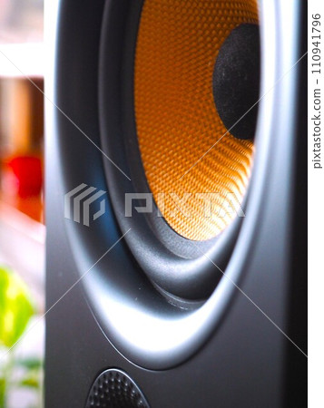 close up of speaker 110941796