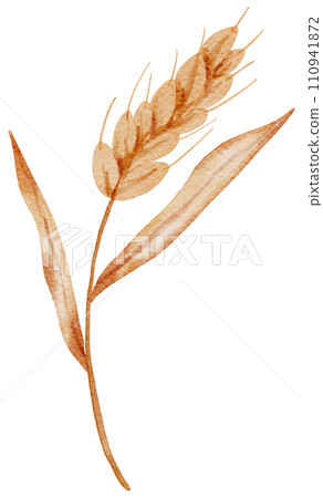 Thanksgiving autunm fall watercolor clipart 110941872
