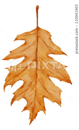 Thanksgiving autunm fall watercolor clipart Thanksgiving autunm fall watercolor clipart 110941905