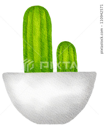 Cactus succulent plant watercolor 110942571