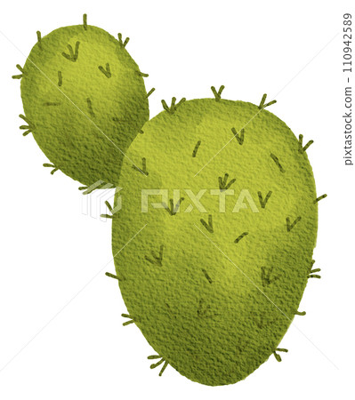 Cactus succulent plant watercolor 110942589