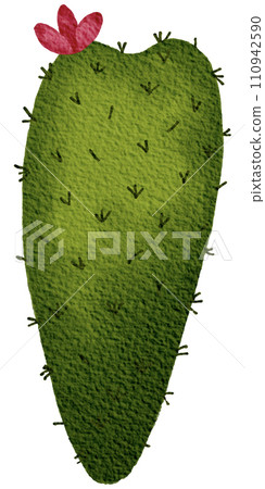 Cactus succulent plant watercolor 110942590