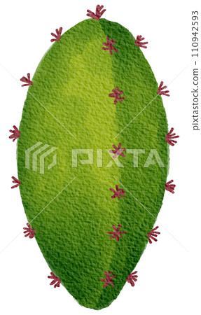 Cactus succulent plant watercolor 110942593