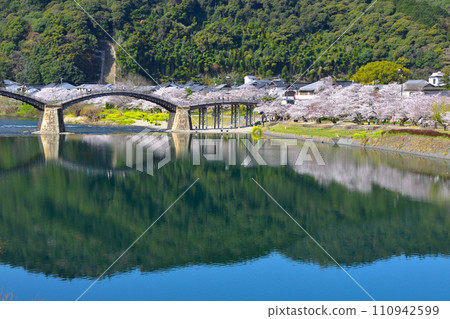 春天櫻花油菜花錦帶橋 110942599