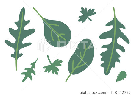 Arugula, spinach and parsley leaves, cartoon style. Trendy modern vector illustration isolated on white background, hand drawn, flat design Arugula, spinach and parsley leaves, cartoon style. Trendy modern vector illustration isolated on white background, hand drawn, flat design 110942732