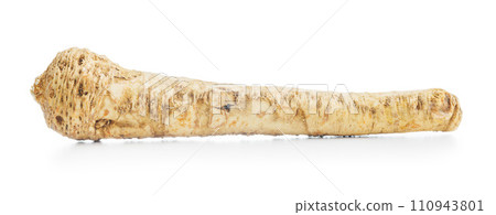 Fresh horseradish root isolated on white background. Fresh horseradish root isolated on white background. 110943801