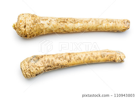 Fresh horseradish root isolated on white background. Fresh horseradish root isolated on white background. 110943803