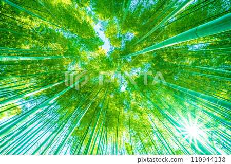 Japan's Yokohama cityscape Post-coronavirus...Beautiful green bamboo forest...Light of hope in a new era...=January 26, 2020 110944138