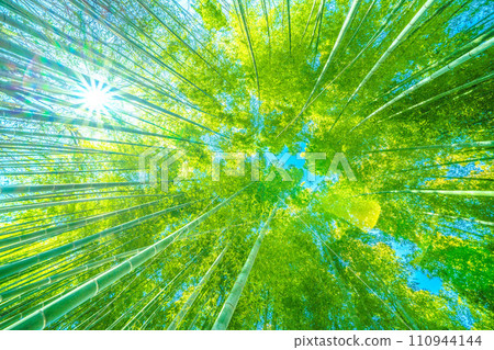 Japan's Yokohama cityscape Post-coronavirus...Beautiful green bamboo forest...Light of hope in a new era...=January 26, 2020 110944144