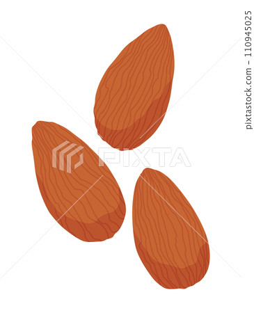 Almond nut icon. Nut vector illustration isolated on white background. Omega-3 product 110945025