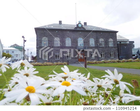 冰島 夏季 雷克雅維克 Althing 議會大廈 110945214