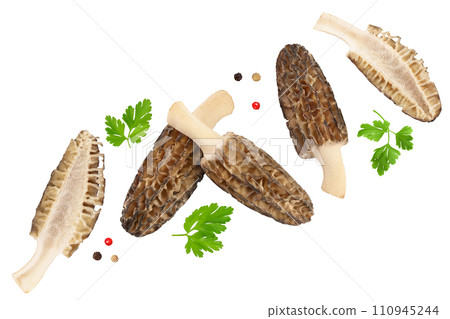 raw morel mushroom isolated on white background with full depth of field. Top view. Flat lay. 110945244