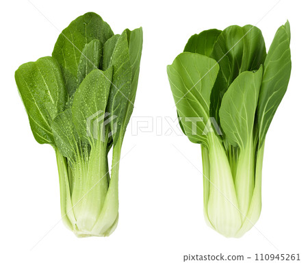 Fresh pak choi cabbage isolated on white background with full depth of field Fresh pak choi cabbage isolated on white background with full depth of field 110945261