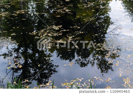 Reflection on the water. Reflection on the water. 110945463