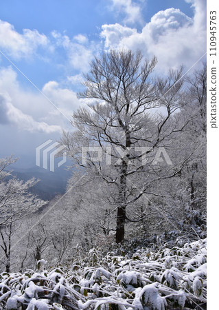 Snow-piled wood Snow-piled wood 110945763