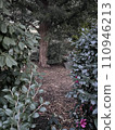 Nature  110946213