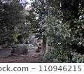 Nature  110946215
