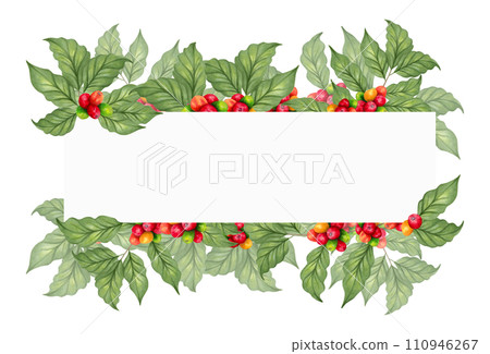Banner made of coffee tree branches. Illustration with watercolor and marker. Frame of Arabica and Robusta coffee varieties. Coffee day. For menu, cafe concept, recipe book.Hand drawn isolated art. 110946267