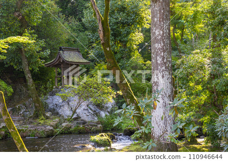 上賀茂神社岩本神社（京都市北區上賀茂本山） 110946644
