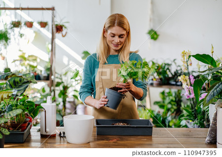 Blonde Midlife Gardener Lovingly Repotting Vibrant Green-Leafed Plant in Sleek Modern Interior, Immersed in Gardening Bliss. 110947395