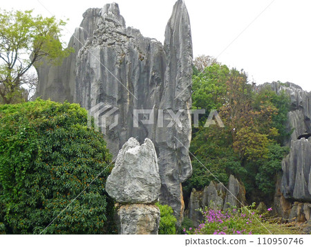 Travel to Yunnan, China to photograph the unique stone forest scenery 110950746