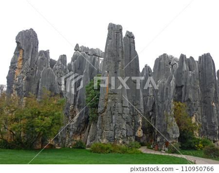 到中國雲南旅遊拍攝特別的石林風景 110950766