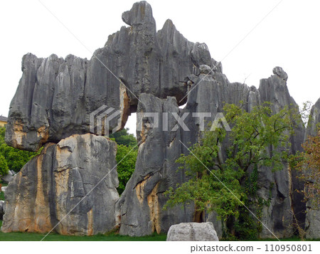 到中國雲南旅遊拍攝特別的石林風景 110950801