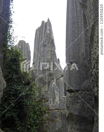Travel to Yunnan, China to photograph the unique stone forest scenery Travel to Yunnan, China to photograph the unique stone forest scenery 110950820
