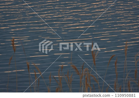 河面和蘆葦反射早晨的天空，春天，長焦，230412am 110950881