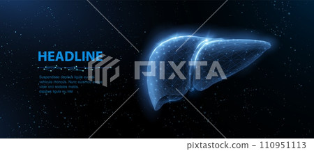 Liver. Abstract vector 3d illustration. Liver health, Fatty liver, Bile detox, Nash disease, Cirrhosis concept 110951113
