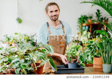 Gardener American man at apron transplants indoor plants using shovel on table. Timely plant replanting, soil replacement Urban jungle and plant parent concept. 110951149