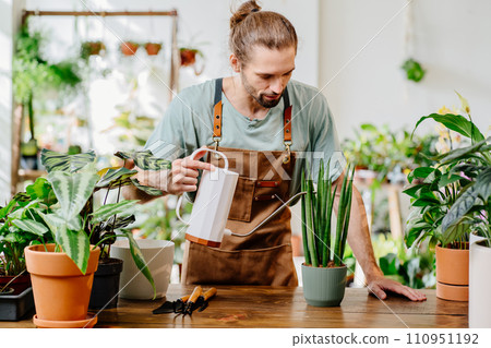 Handsome young man wearing apron carefully watering potted houseplants indoors. Concept of plants care and home garden. Urban jungle and plant parent concept. 110951192