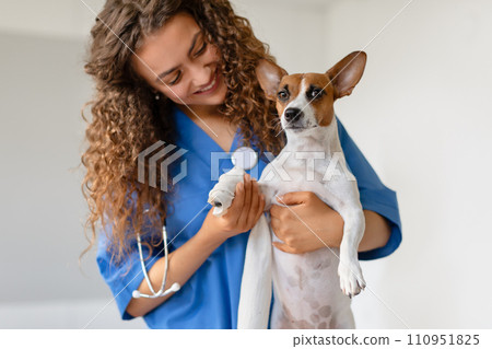 Curly-haired vet holding a small dog 110951825