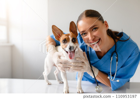 Joyful vet holding a happy Jack Russell Terrier Joyful vet holding a happy Jack Russell Terrier 110953197